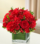 Healing Tears<br>All Red Davis Floral Clayton Indiana from Davis Floral